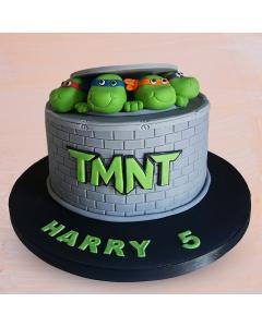 TMNT Terror