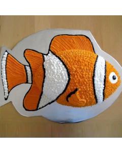 Clownfish Coral Celebration